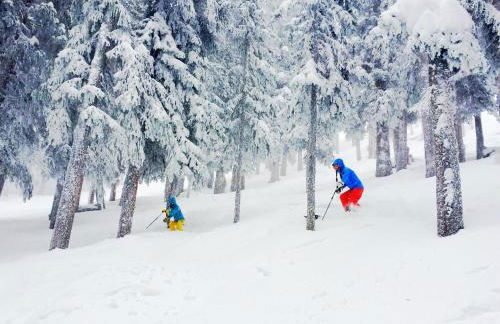 Relais & Chateaux Lumiere by Dunton - Foto 33