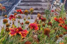 Sadowa Ostoja z prywatnymi jacuzzi - Foto 11