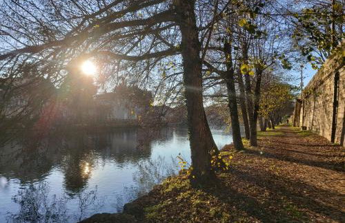 Le Petit Saint-Georges, centre historique - Photo 18