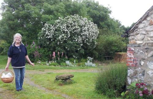 The Cwtsh at Ffynnon Clun: unique. - Photo 11