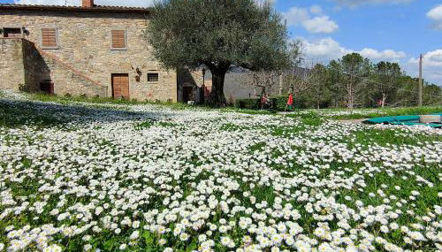 Casale Le Sette Vene - Photo 5