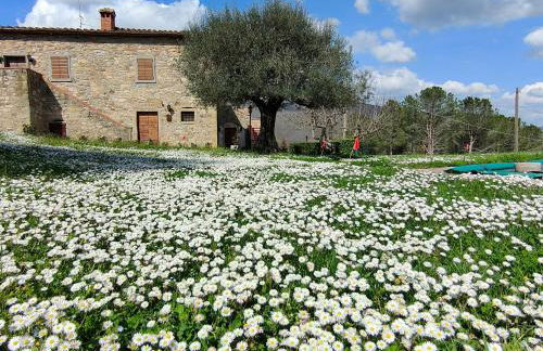 Casale Le Sette Vene - Photo 5