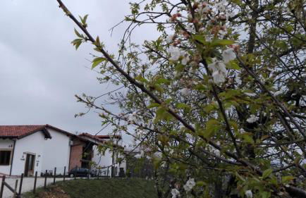 Apartamentos El Llanin - Foto 60