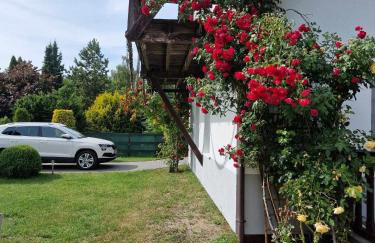 Nina Kopalino - Foto 44