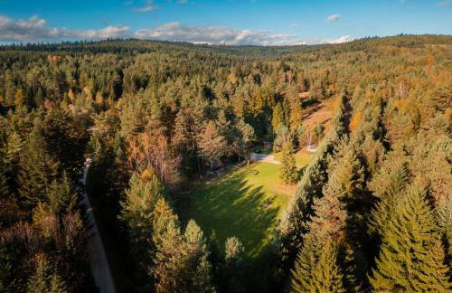 Smerekowiec Domek w lesie - Beskid Niski - Foto 51