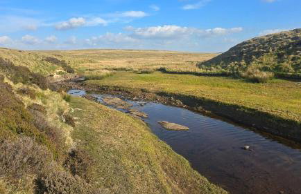 Luxury Welsh wooden cabin - Foto 66