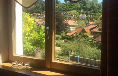 Urlaub mit Blick auf Schiltachs Fachwerkhäuser - Foto 11