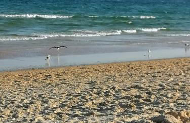 Tavira Garden Golf and Sunny - Foto 20