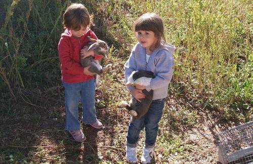 Agritur Scoiattolo - Foto 41