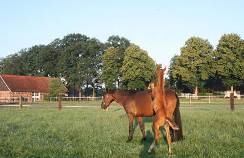 Landhaus am Esch - Foto 3