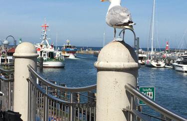 Ostseeruhe - Foto 21