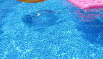 El eco de los robles - Foto 5