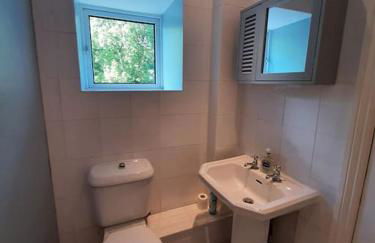 Selah Teifi spectacular river view with games room - Photo 24