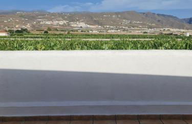 LellasHome - Photo 5