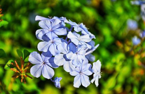 Los Chozones - Foto 60