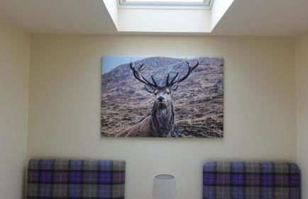 Bunroy Park - Foto 64