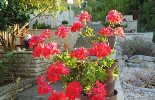 VILLA Apartments Mate Cebalo - Foto 18