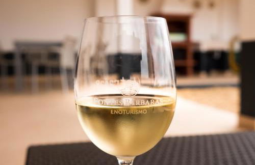 Fontes Bárbaras Enoturismo - Foto 13