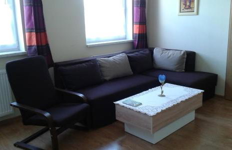 Apartament Borowiacki - Foto 17