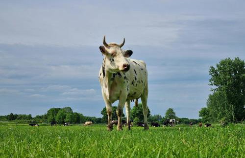 Das alte Herrenhaus auf dem Bio-Bauernhof - Foto 15
