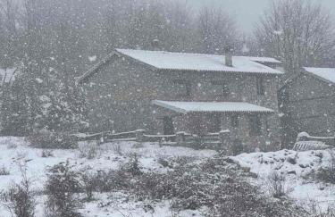 Forest House - Foto 18