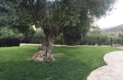 Casa Rural La Bodega - Foto 32