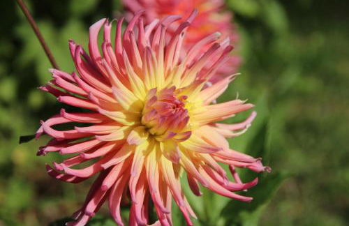 Bio Quinta do Pantano, Agro Turismo - Foto 41