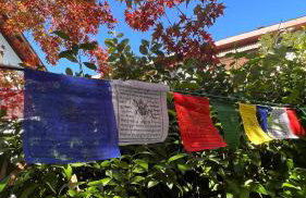 Garden Suite - Foto 64