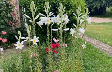 Charny les Lindets - Foto 2