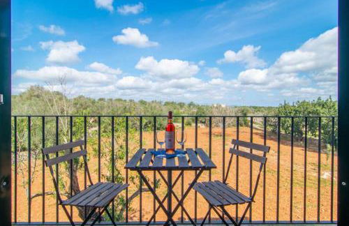 Traditional house Casa Binitaref with pool in Sineu - Foto 23