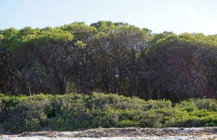 Beachhouse Casa del Mare Sardegna - Foto 24