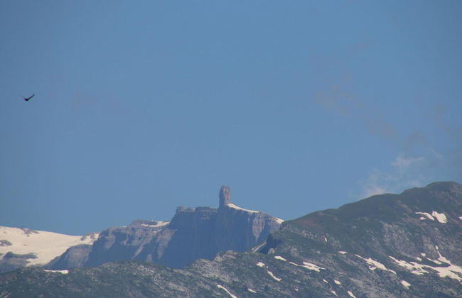 Charming Apartment With Balcony - Foto 11