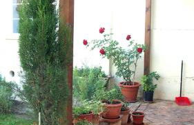 Casa Azahar - Foto 10