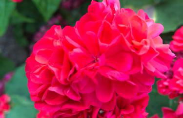 Beautiful Farm House - Foto 8