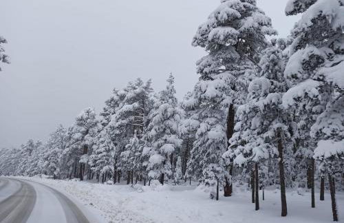 Apartamento LA MONTESA - Foto 60