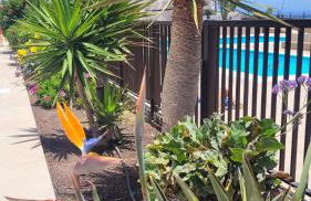 Atlantic View Tenerife South - Foto 11