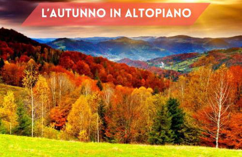 Lhousing - Nuovo Bilocale a Roana centro - Foto 42