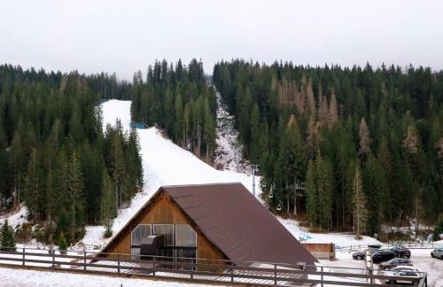 Casa Sappada Appartamento - Photo 46