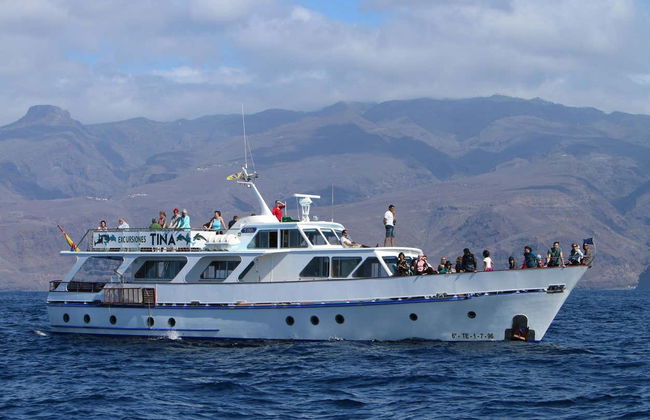 Observation de dauphins et de baleines à La Gomera - Photo 2