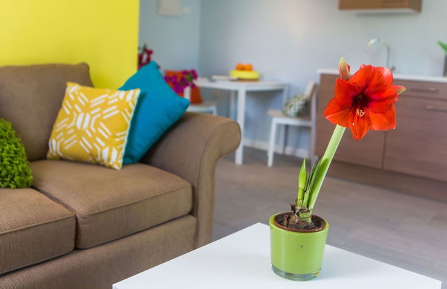 Bubali Bliss Studios & Villas - Foto 6