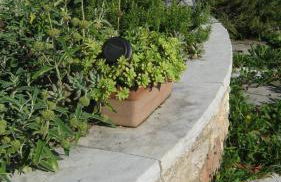 La Residence da Caterina - Photo 71