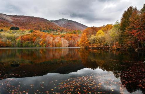 Viladrau Paz y Naturaleza - Foto 13