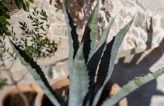 Father's Heart Villa - ZF Hvar - Photo 53