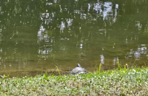 Cozy Corner - Family Beach Vacation Condo - Foto 45