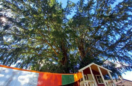 Auszeit im Eibenhaus - Foto 35