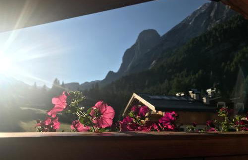 Cesa Mandi e Miky - Foto 16