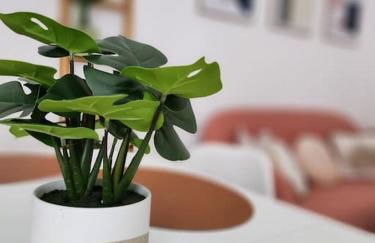 Gîte Animals King'Dôme 8min du Zoo de Beauval - Foto 27