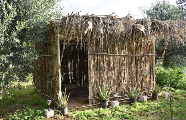 Cocoon Tent in an Olive Grove - Photo 28