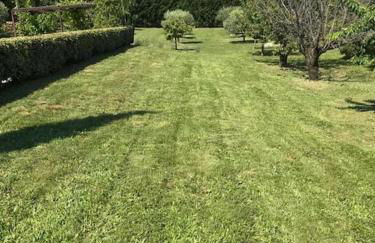 Superbe Mas provençal, entre Gordes et Roussillon - Foto 41