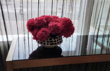 Flat Exclusivo Piscina&Rooftop frente SSA Shopping - Foto 46